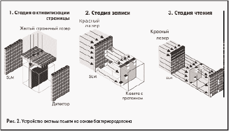 Устройство системы памяти на основе бактериородопсина
