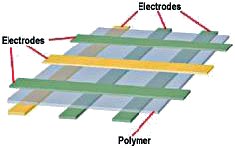Структура полимерного сегнетоэлектрического ЗУ